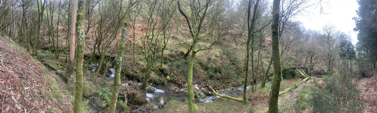 ioniqelectrico's tweet image. El #ValDoSuido en Pontevedra está hecho para ti. En Covelo ( 2500habitantes ) podrás cargar en trifásica o monofásica debajo de unos frondosos árboles , fuente , y tés o cuatro parrilladas de piedra . Y rutas de @GSenderismo a doquier en los diferentes #Concellos de la comarca.