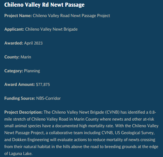 AsmConnolly's tweet photo. Something newt in the North Bay! @CaliforniaDFW has awarded $77,875 to Marin County for a Newt Passage Project to protect newts in the Chileno Valley as they travel to breeding grounds on the edge of Laguna Lake. Read more: https://t.co/UmL6QpNd7I https://t.co/TRqX9dx1dz