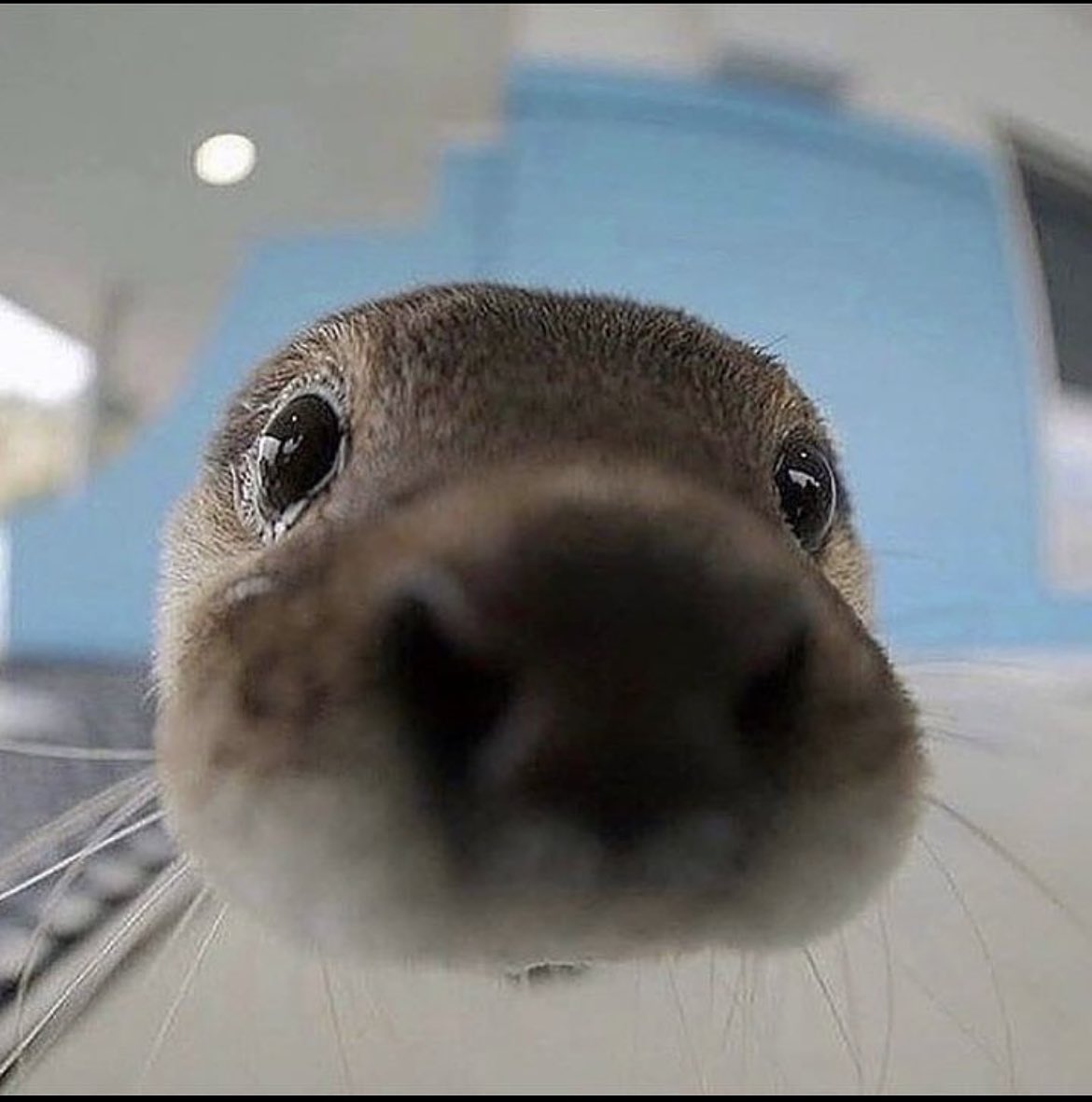 I see what you’re up to