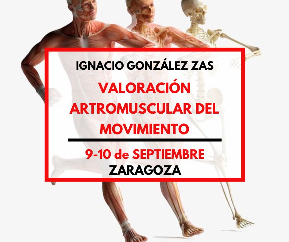ecucafd (@ecucafd) on Twitter photo 💥💥 NOTICIÓN 💥💥
Tendremos a <a href="/NachoGZas/">Ignacio González Zas</a> en Zaragoza 💪💪💪
Si quieres aprender con todo un referente, ésta es tu oportunidad.
ecucafd.es/curso/valoraci… 💥💥 NOTICIÓN 💥💥
Tendremos a <a href="/NachoGZas/">Ignacio González Zas</a> en Zaragoza 💪💪💪
Si quieres aprender con todo un referente, ésta es tu oportunidad.
ecucafd.es/curso/valoraci…