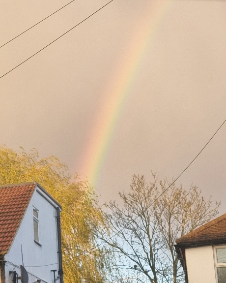 ShirlAngelLady's tweet photo. Angels brighten up rainy days. Enjoy the healing rays they are sending to u. They love u 💗 

#Angels #archangels #rainbows #love #messenger #rainydays #healing https://t.co/SdgScHcn4k
