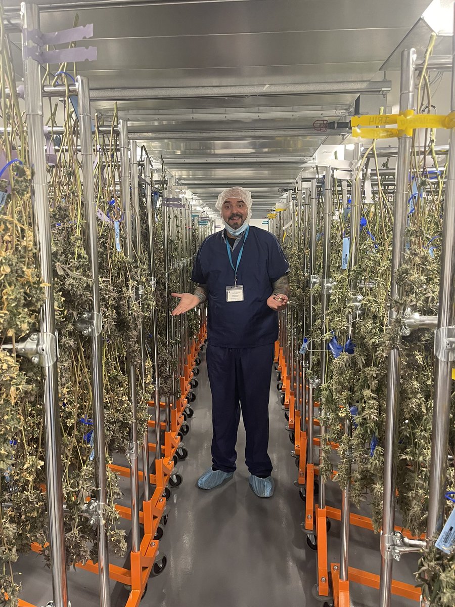 Got to see my first grow operation courtesy of <a href="/ayrmass/">Ayr Massachusetts</a> today and I’ve never smelled anything better