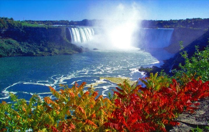 TravelsNaty's tweet photo. 📸 I have visited the falls in all seasons, and each has its charm; if you can visit them, do not stay without doing it. #travel #Canada https://t.co/fu6gwTJyvx