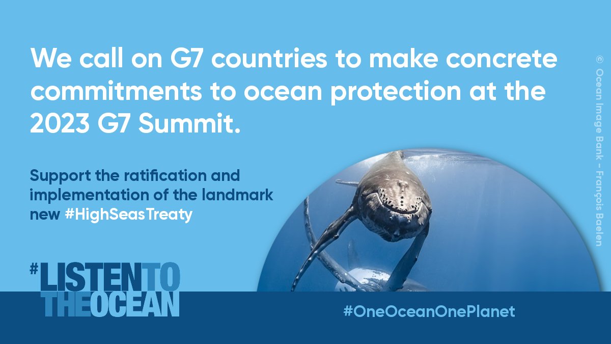 Ahead of the #G7 Ministers' Meeting on Climate, Energy and Environment, we urge to commit to ratify the #HighSeasTreaty as soon as possible to ensure the conservation and sustainable use of marine biological diversity of #ABNJ. oceanprotect.org/ministerial-le… #G7JPN #ListenToTheOcean