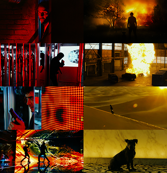 johnwicksgf's tweet photo. nothing is touching the cinematography of john wick https://t.co/bLkPlx6SDp