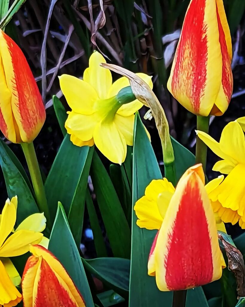 Jackie Leggett tweet media