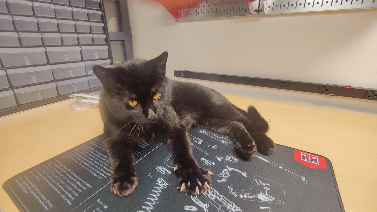 ShokoMama531's tweet photo. 実は家に新しい家族が増えました。ご縁があり家の子になりました。
黒猫のジジくんです。
先住犬たちとの仲がまだまだ思う様にはいきませんが…、時間をかけてゆっくりといきます。
とても優しくてカワイイ子です。
よろしくお願いします🐈‍⬛🖤
#黒猫のジジ #黒猫 #新しい家族 #blackcat #Jijithecat https://t.co/TZ6ONaxNGm