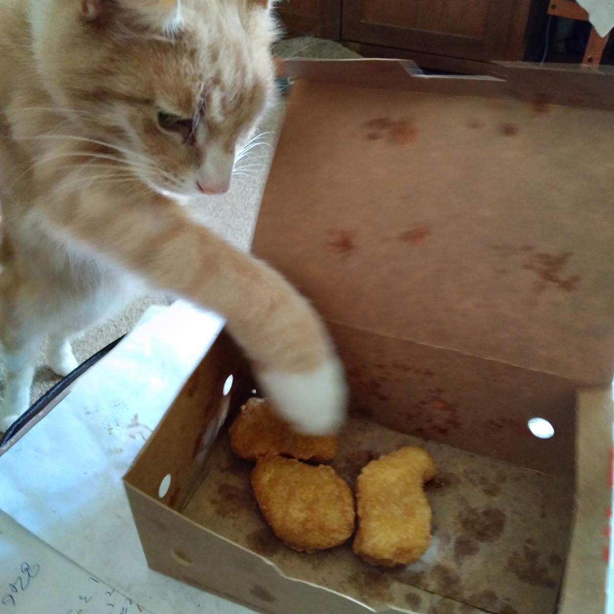 mel_cbe's tweet photo. @TheFunTweets2 Wez all do it!👍👍👍😹😹😹😹🤣 @McDonaldsUK #Sharebox https://t.co/QPBeZThLoY