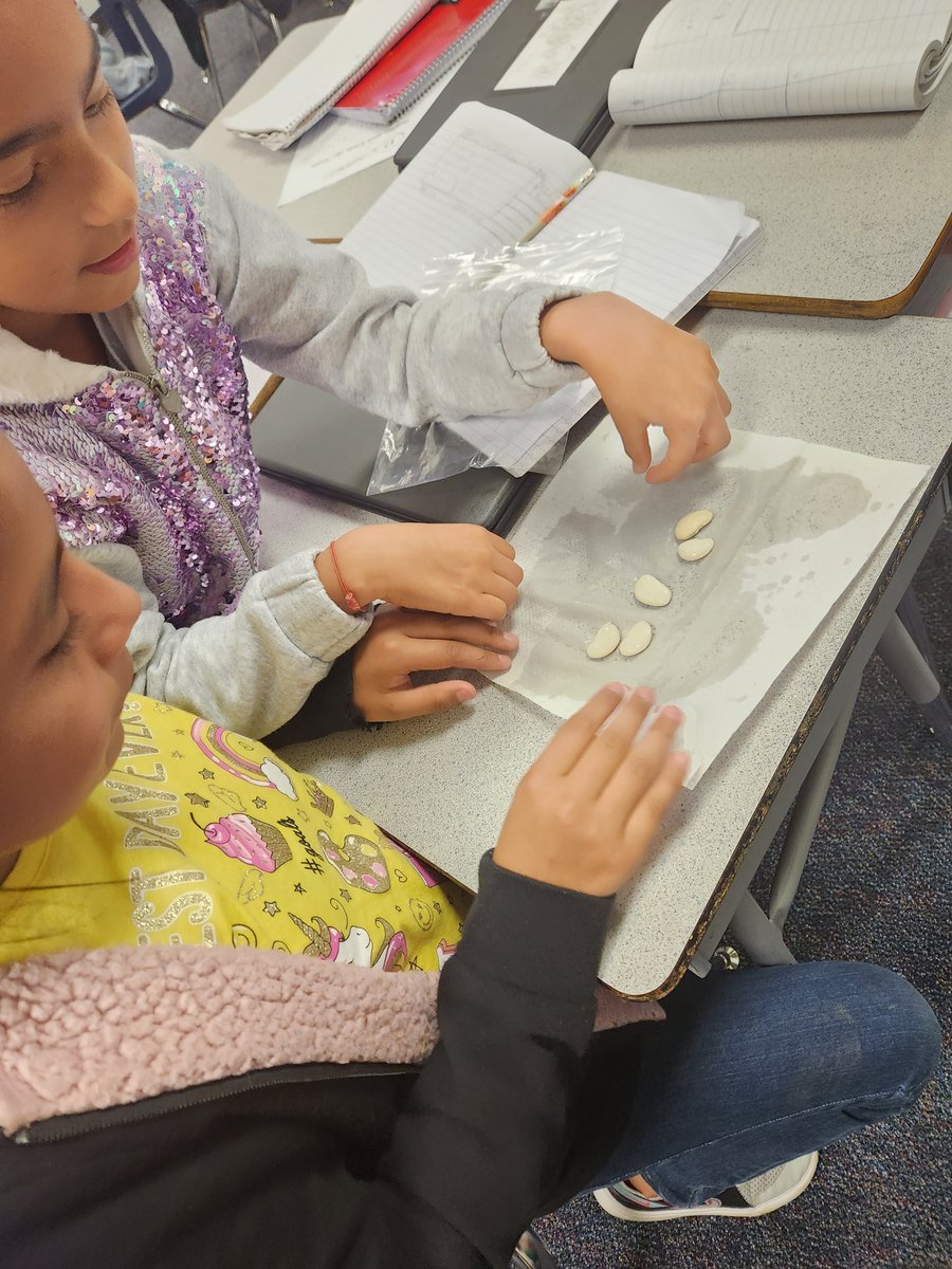 MatturroMEd's tweet photo. Loved the collaboration & discussion about Life Cycle of Plants in Ms. Brown's 4th grade Science Class. #AliefScienceRocks @BushScience https://t.co/fe97QQq21Q