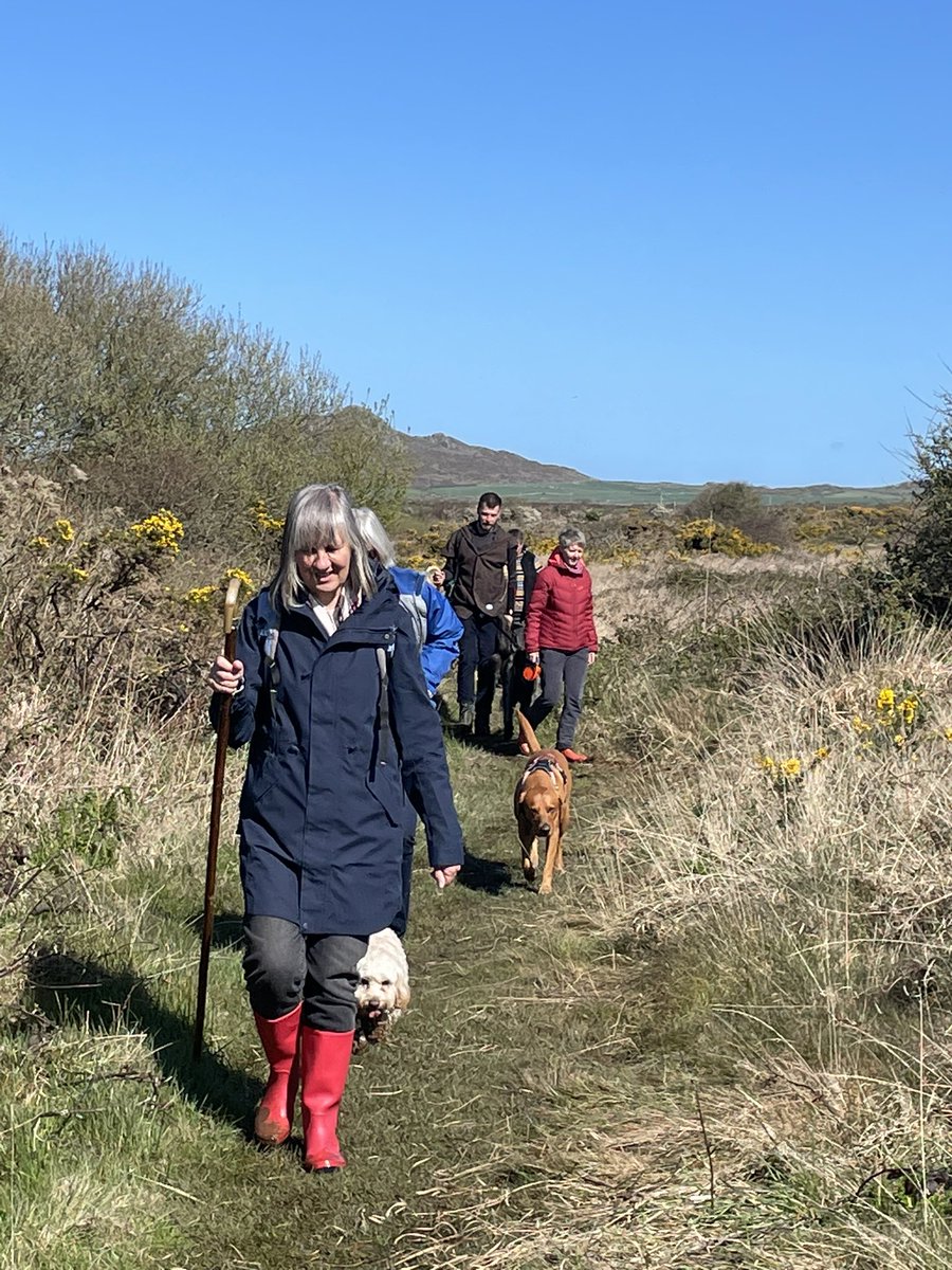 Sheridan Angharad James (@revdsaj) on Twitter photo Fab pilgrimage to celebrate St Caradog’s feast day (patron saint of dog lovers, harpist and the sea sick) with <a href="/TyrPererin/">Tŷ'r Pererin</a> <a href="/wexpempilgrim/">Wexford Pembrokeshire Pilgrim Way</a> and a few other hardy pilgrims. Brilliant and muddy walk. His relics and shrine are <a href="/StDavidsCath/">St Davids Cathedral</a> Fab pilgrimage to celebrate St Caradog’s feast day (patron saint of dog lovers, harpist and the sea sick) with <a href="/TyrPererin/">Tŷ'r Pererin</a> <a href="/wexpempilgrim/">Wexford Pembrokeshire Pilgrim Way</a> and a few other hardy pilgrims. Brilliant and muddy walk. His relics and shrine are <a href="/StDavidsCath/">St Davids Cathedral</a>
