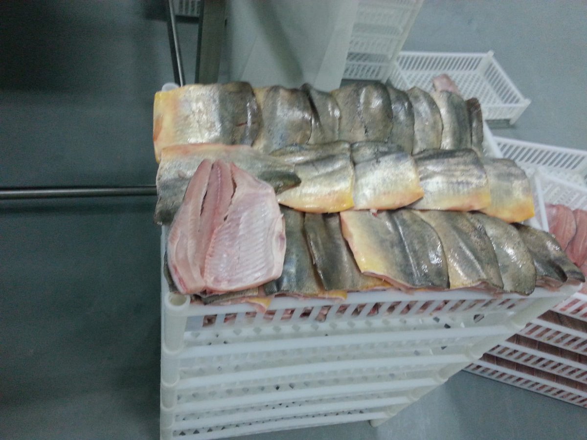 SenasaAR's tweet photo. Habilitamos la exportación de carne de pacú con destino a Estados Unidos desde un frigorífico de Puerto Las Palmas #Chaco. Auditamos que la faena y los sistemas de control de inocuidad utilizados en el establecimiento cumplan con los requisitos del país de destino. https://t.co/MQ78kB5PtY