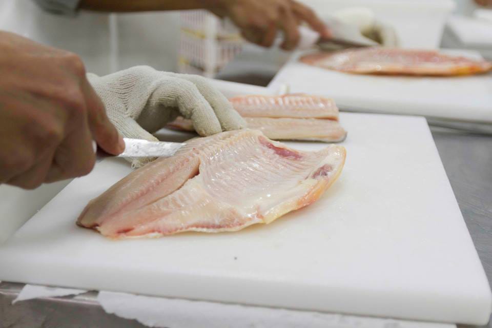 SenasaAR's tweet photo. Habilitamos la exportación de carne de pacú con destino a Estados Unidos desde un frigorífico de Puerto Las Palmas #Chaco. Auditamos que la faena y los sistemas de control de inocuidad utilizados en el establecimiento cumplan con los requisitos del país de destino. https://t.co/MQ78kB5PtY