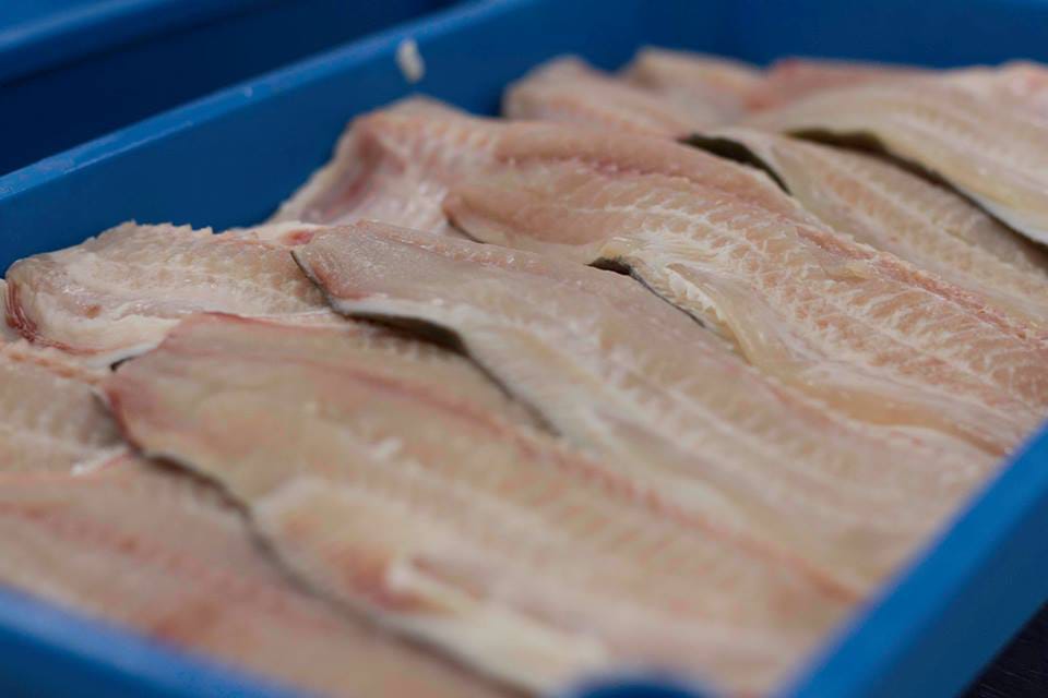 Habilitamos la exportación de carne de pacú con destino a Estados Unidos desde un frigorífico de Puerto Las Palmas #Chaco. Auditamos que la faena y los sistemas de control de inocuidad utilizados en el establecimiento cumplan con los requisitos del país de destino.