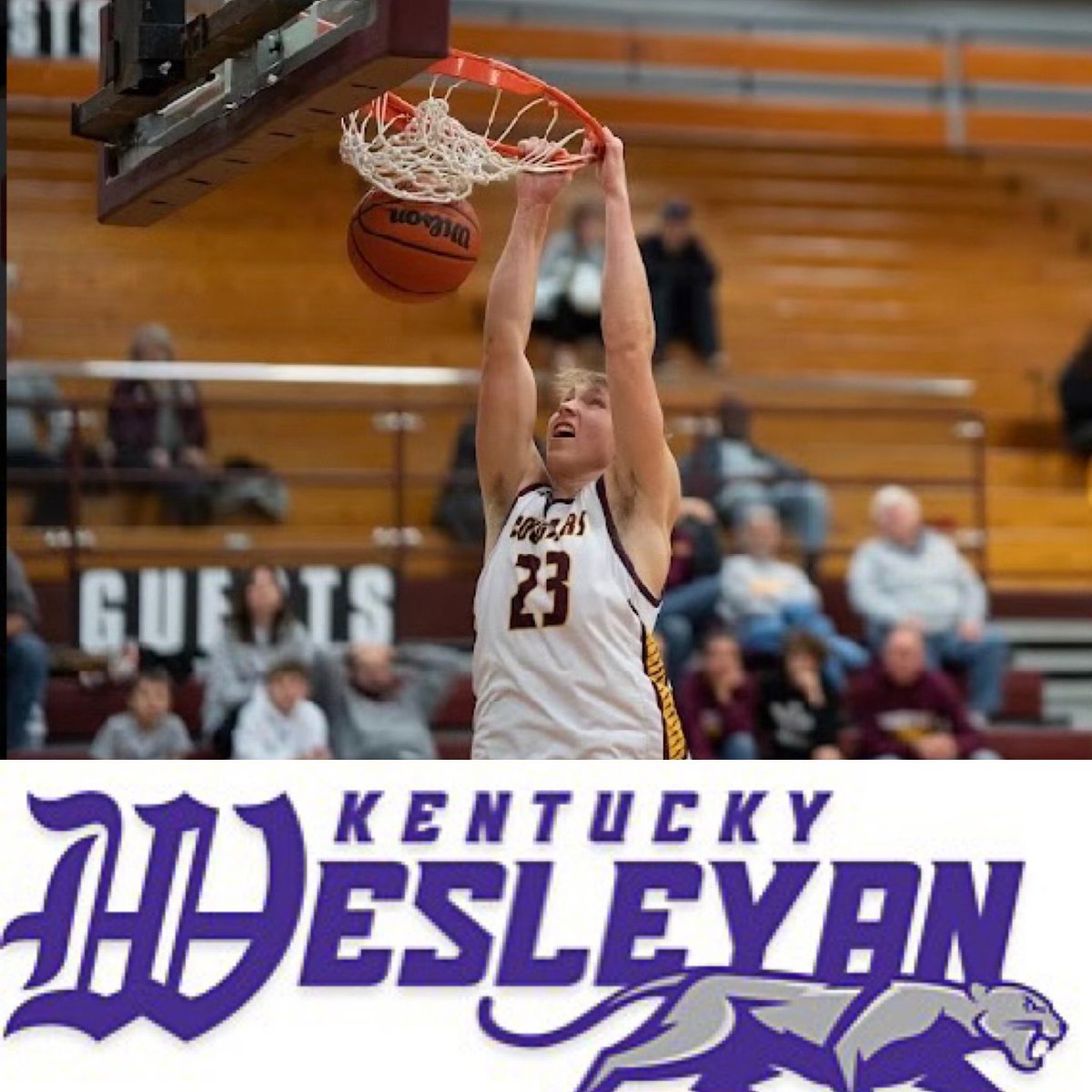 gavin reed tweet media