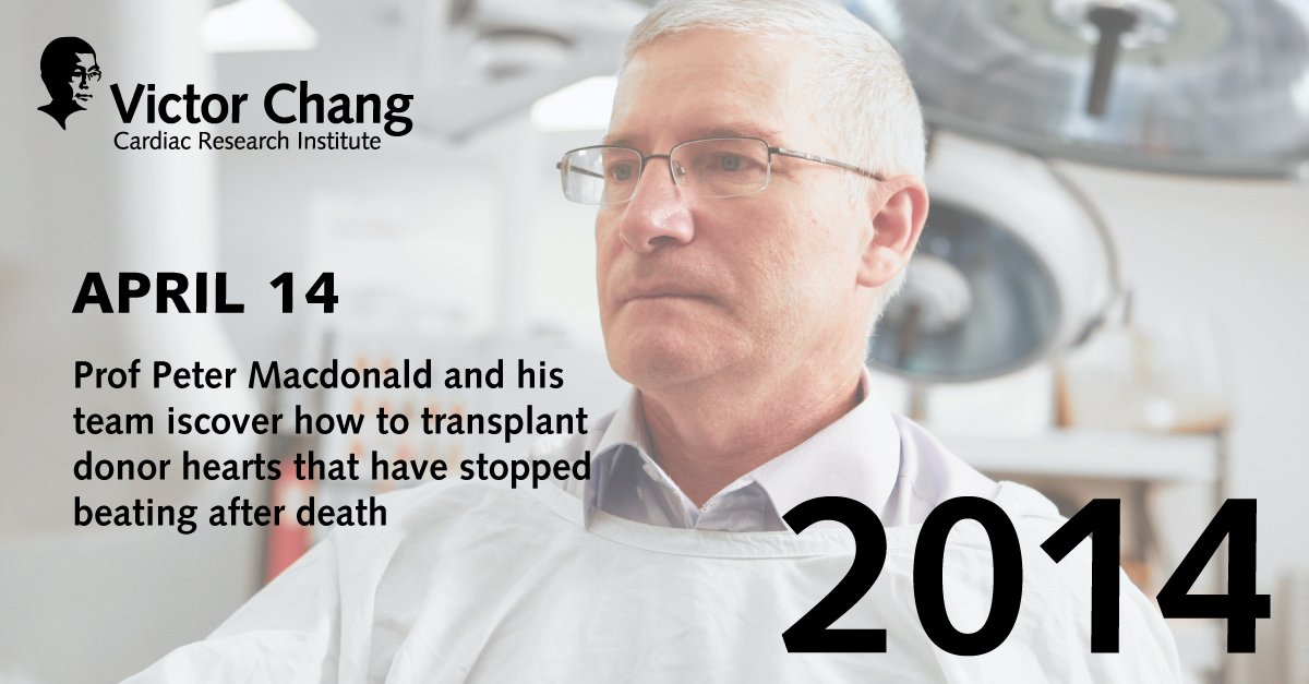 VictorChangInst's tweet photo. #OnThisDay, in a world first, Prof Peter MacDonald + his research team at the Institute discover how to successfully transplant DCD hearts. Since then, 87 DCD #HeartTransplants have been performed by the team at @SVHSydney: https://t.co/0xILlspfz6
#HeartInABox @Transmedics https://t.co/Kr8VEP3OXp