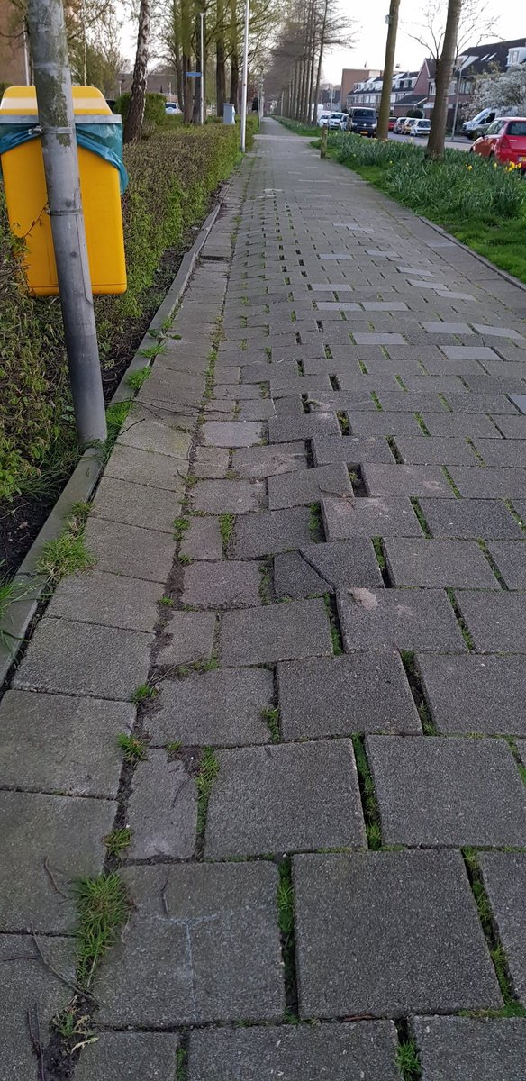 BWaddinxveen's tweet image. Een ronde gelopen door Waddinxveen. Vernielingen, dumpen van afval, bestrating beschadigd, defecte lantaarnpalen. Een praatje met bewoner. 
#buurtpreventie #waddinxveen #fixi #afval #vernieling