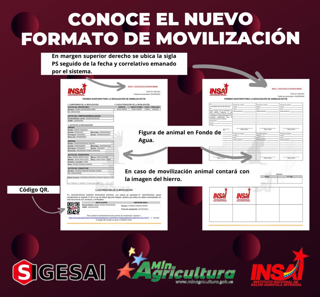 ZuliaInsai's tweet photo. #información 📰📣 Conoce el nuevo formato de movilización, generado por nuestra más reciente plataforma https://t.co/4flacA97zu

@wcastroPSUV
@InsaiVenezuela
@MinAgriculturaV
@MAT_Zulia https://t.co/691U9sYmCM