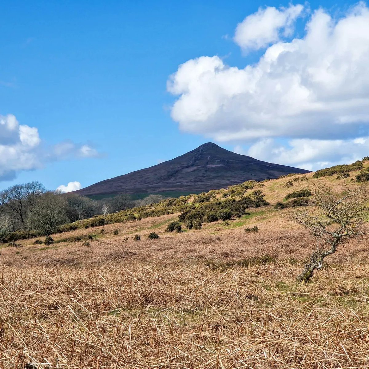 mattbound6's tweet photo. Cracking training day - morning in the Brecon Beacons, then afternoon climbing the Sugar Loaf in Abergavenny. 30km of climbs, running, hiking, in the bank 👍🏃‍♂️
#breconbeacons
#Abergavenny 
#trailrunning 
#hiking
#training
#bensaundersfoundation 
#58daystogo https://t.co/sLT7ifYOJv