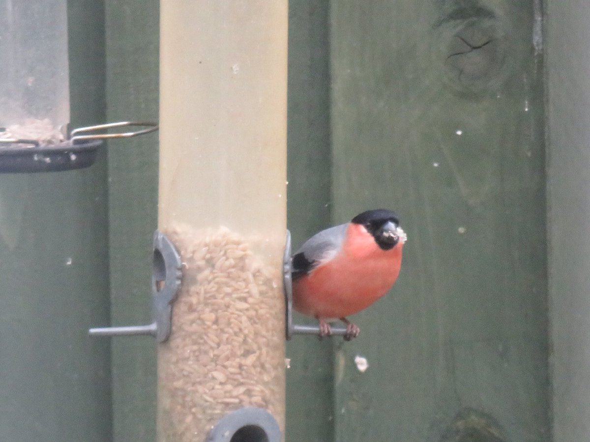 🔥🎶📻🏏🎼👠Rachel Orr 👠🎼🏏👠📻🎶 tweet media