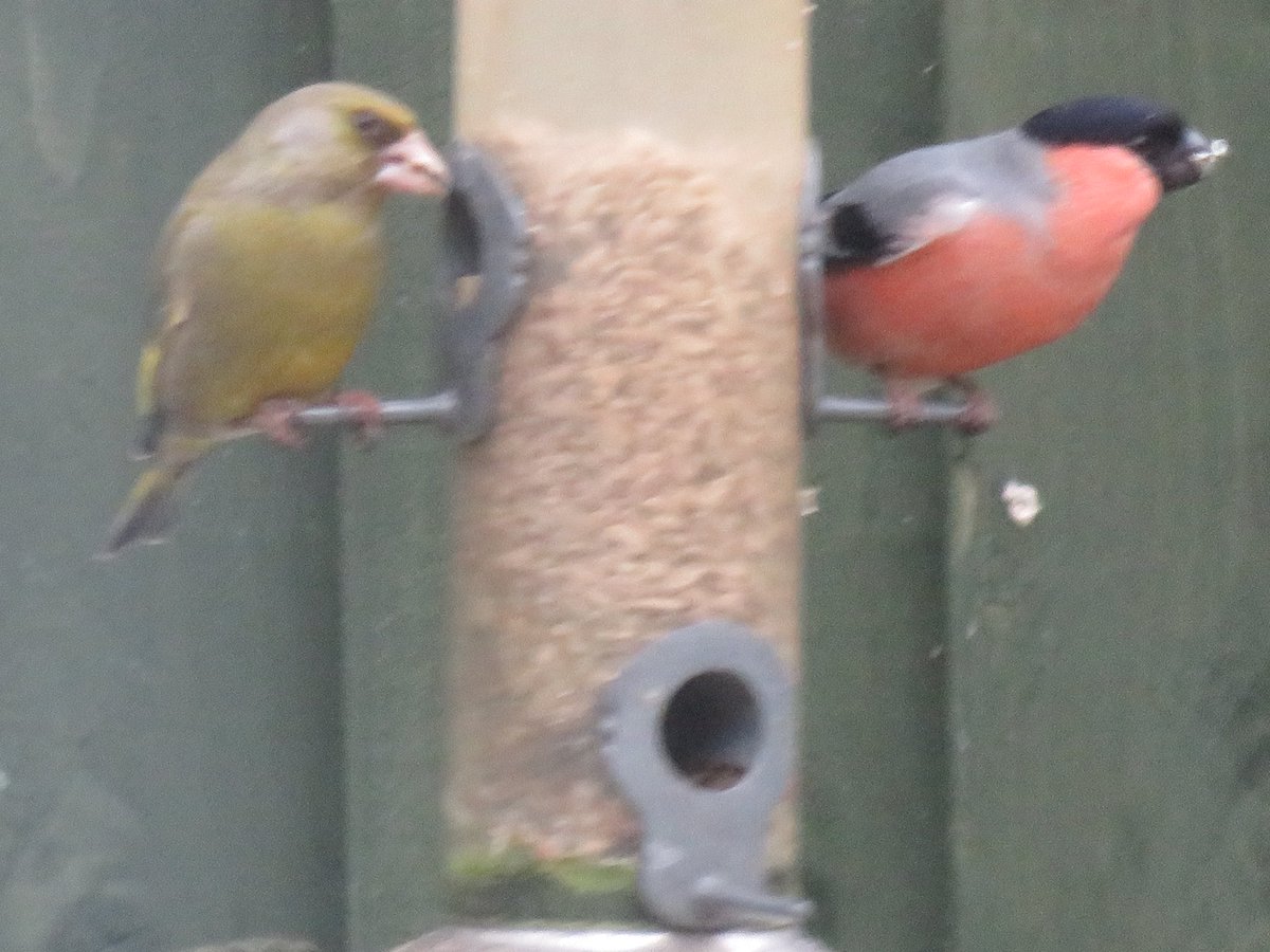 🔥🎶📻🏏🎼👠Rachel Orr 👠🎼🏏👠📻🎶 tweet media