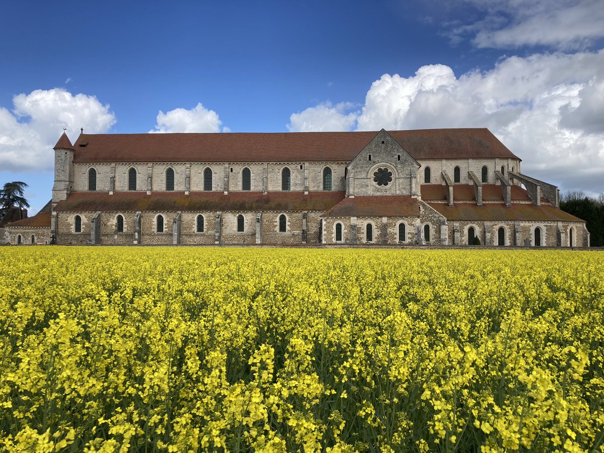 OlivierCOSTE2's tweet photo. Tu te souviens @BONNIN1402 de cette abbaye en #Bourgogne? 
Une année,c’était un #Tournesol et du #Balisto🌻,une autre avec le #Blé #MMS🌾.
Cette après-midi lors du #TDP,j’étais dans un #Colza #AdditionProtect et notre #Agriculture de l’#Yonne 🚜🧑‍🌾 entrain d’admirer le patrimoine. https://t.co/gP6utMNyCE