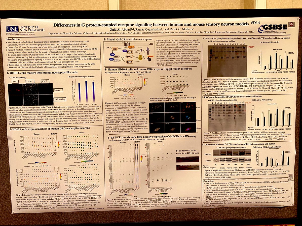 Zaidalw_'s tweet image. See you soon at D14!
#usasp2023
@US_ASP 
@DukeChapel