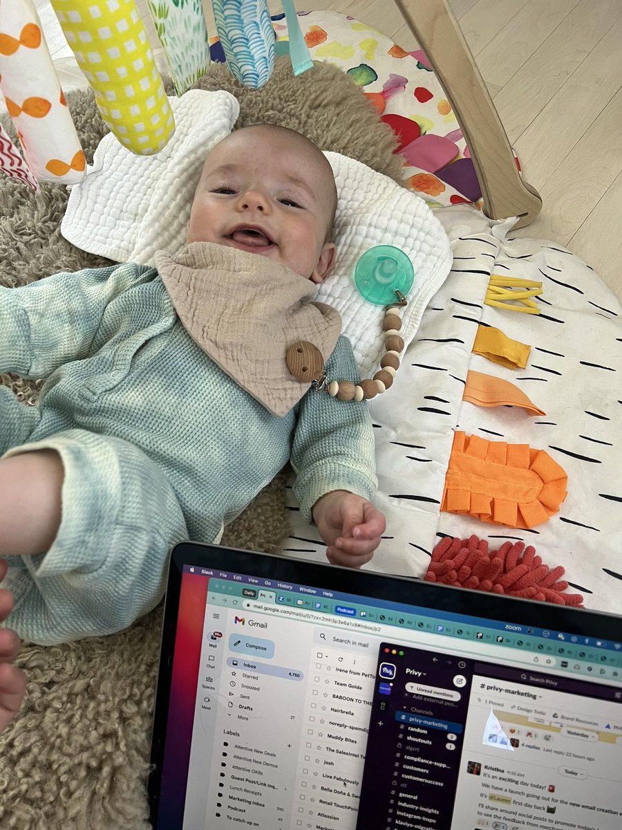 Lauren Hall tweet media