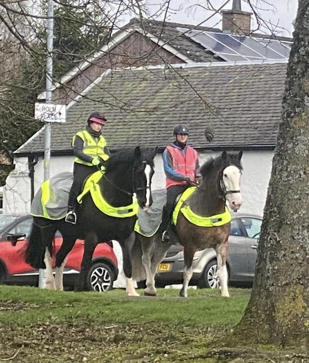 Police Scotland Horses tweet media