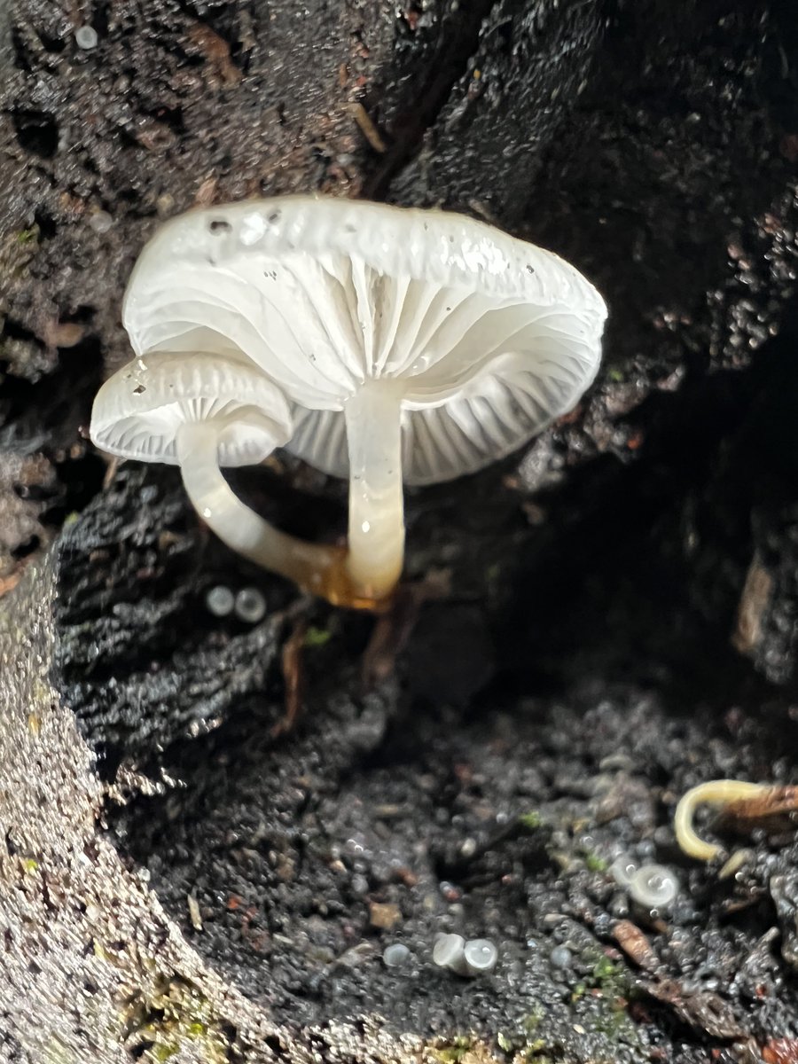 Leo Prieto tweet media