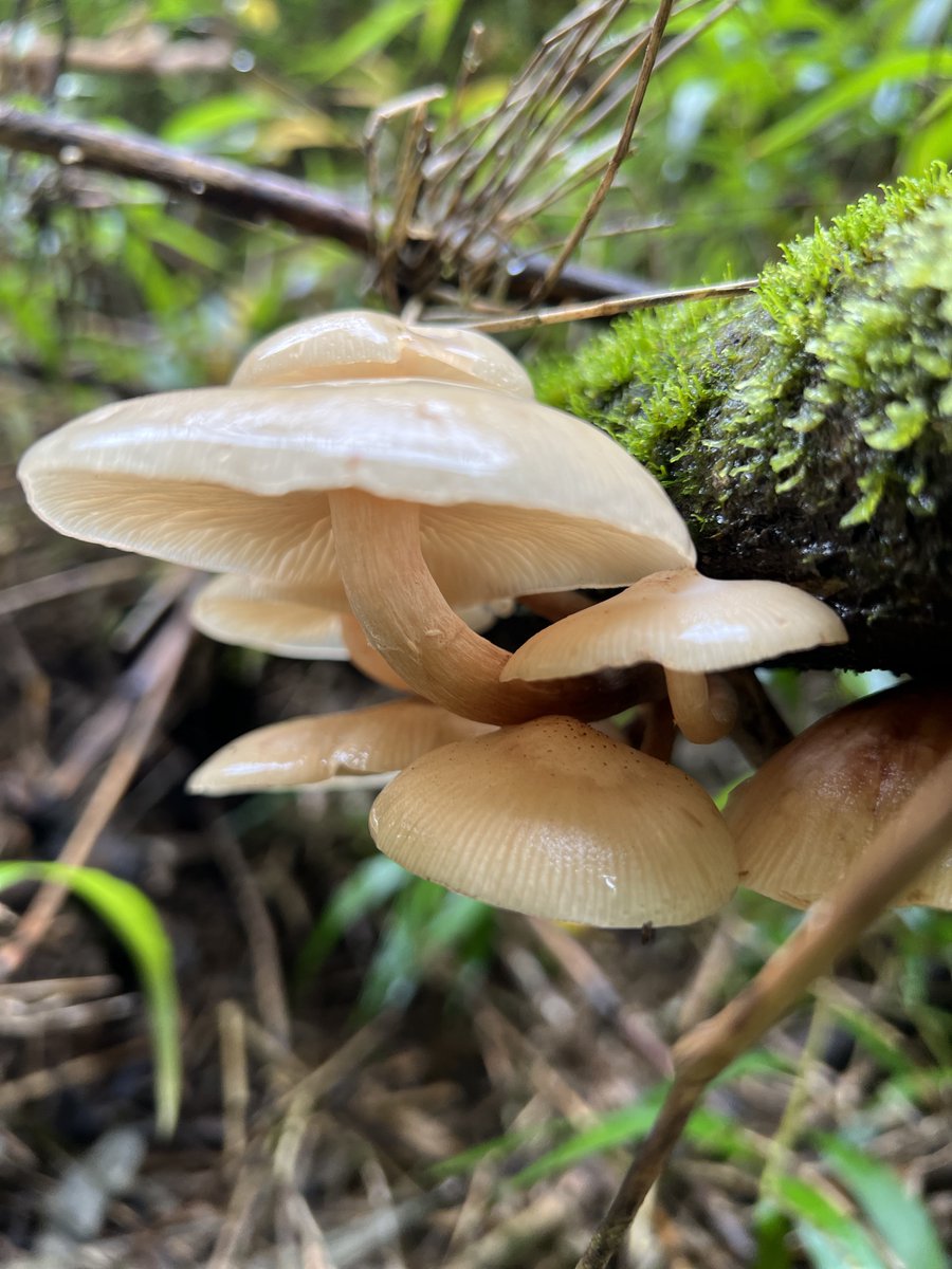 Leo Prieto tweet media