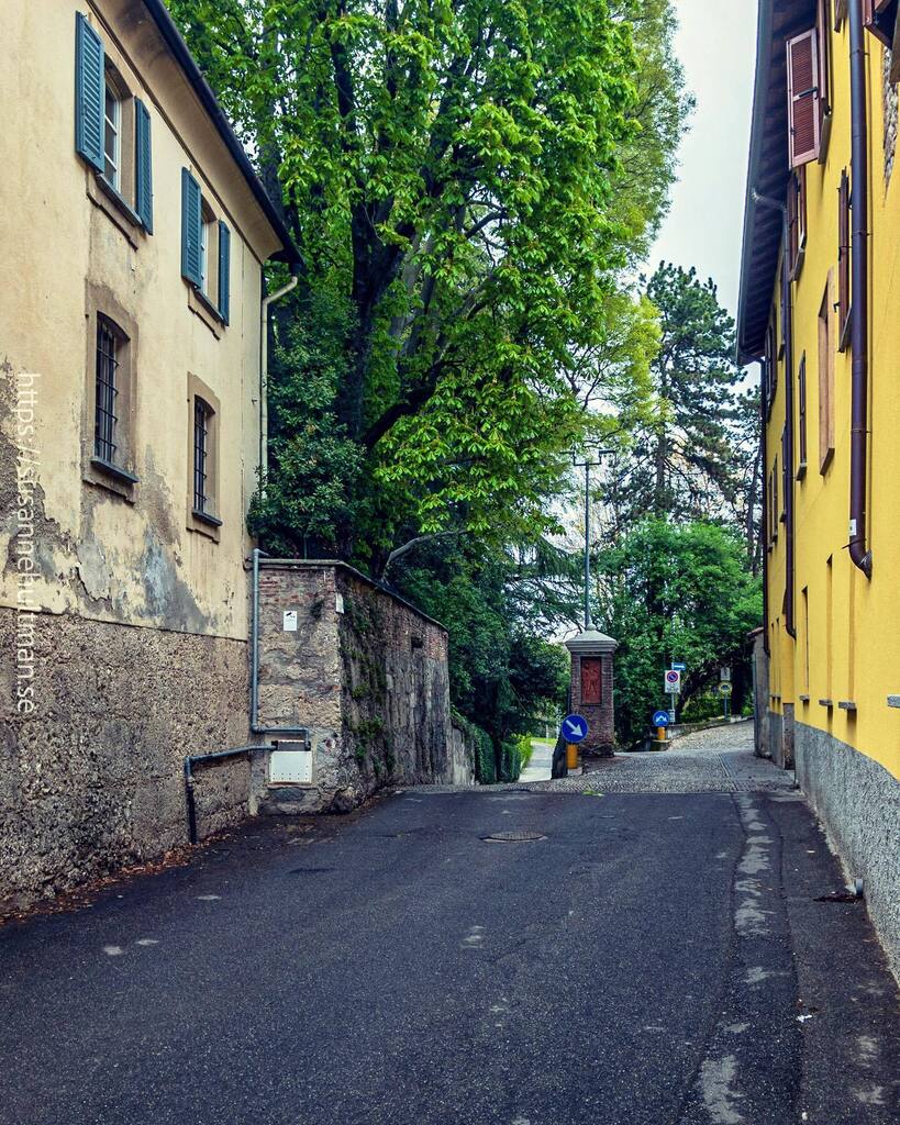 Susanne Hultman tweet media