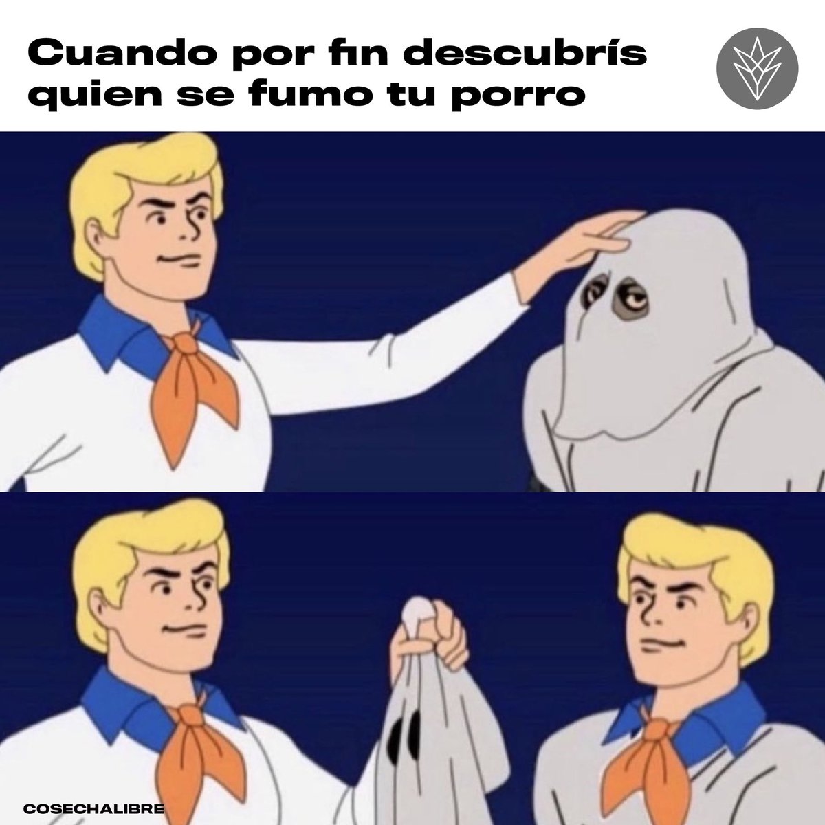 CosechaLibre's tweet photo. Yo sabía que te iba a agarrar ✊🏻✊🏻 https://t.co/4DGyc6LVJb