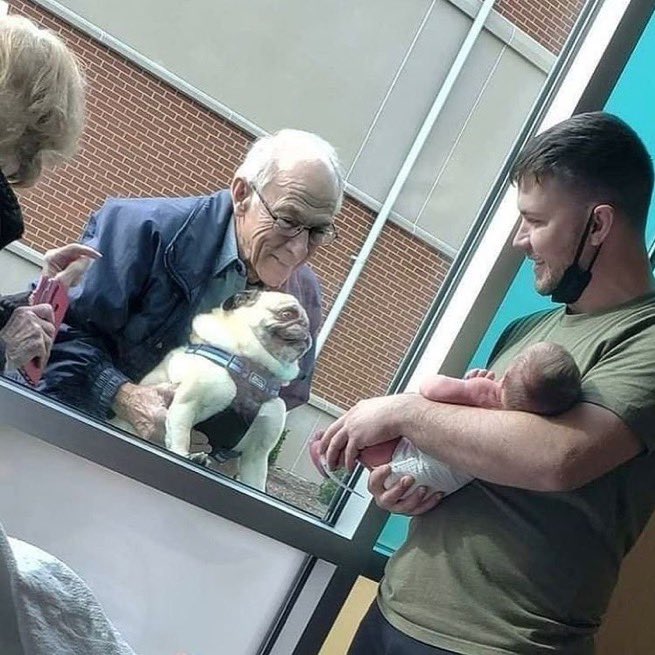 ceciarmy's tweet photo. Esta secuencia da 1000 años de felicidad https://t.co/3pkUO64U8G