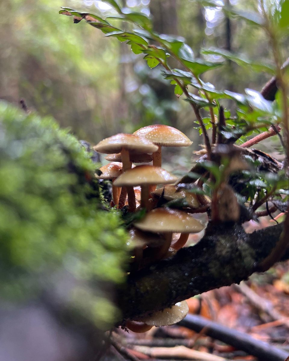 Leo Prieto tweet media