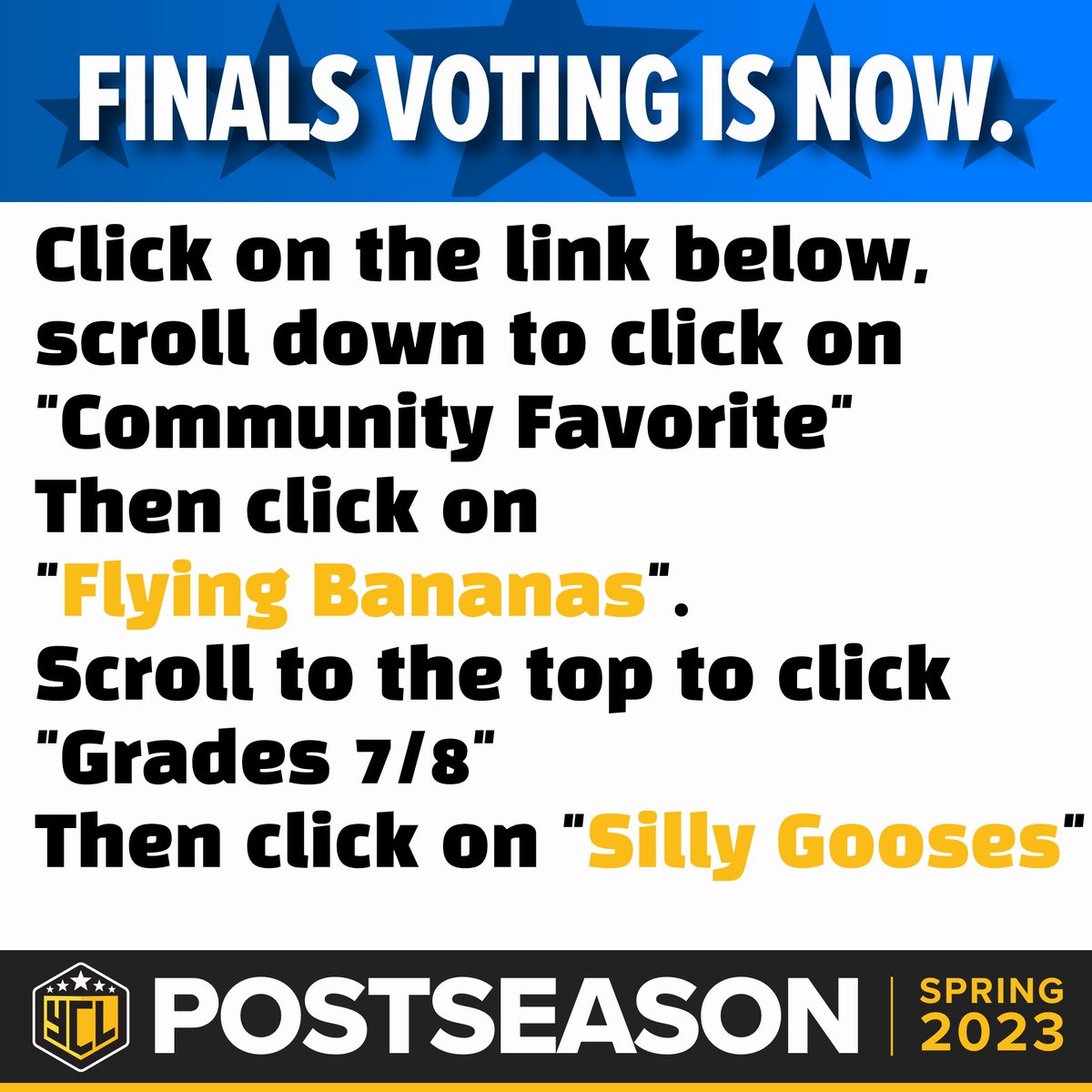 Please vote now for our student projects.
youthcodingleague.com/playoffs