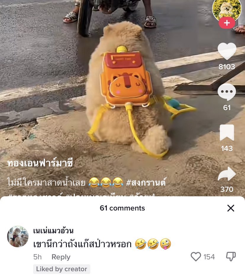 puppynonojung's tweet image. 😭😭😭😭😭😭 อย่าแซวน้องนะ