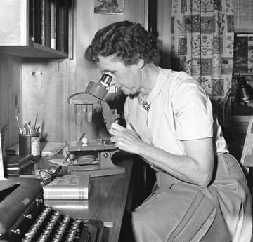 #Efemérides #TalDíaComoHoy #OnthisDay #DOTD #Science #Biology #RachelCarson

Hilo de 15 tweets.

1964.

Hoy, 14 de abril, falleció RACHEL CARSON (n. 1907), bióloga marina y conservacionista estadounidense, considerada la precursora de la conciencia medioambiental.