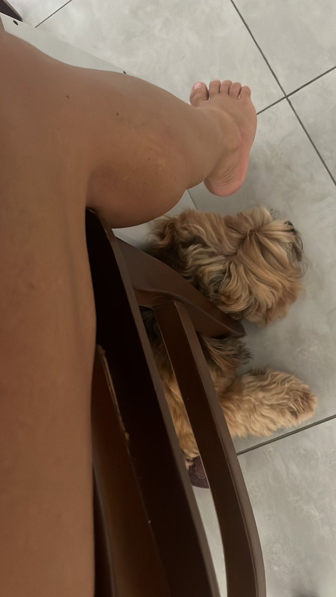 Samira 🇺🇸🇧🇷 tweet media