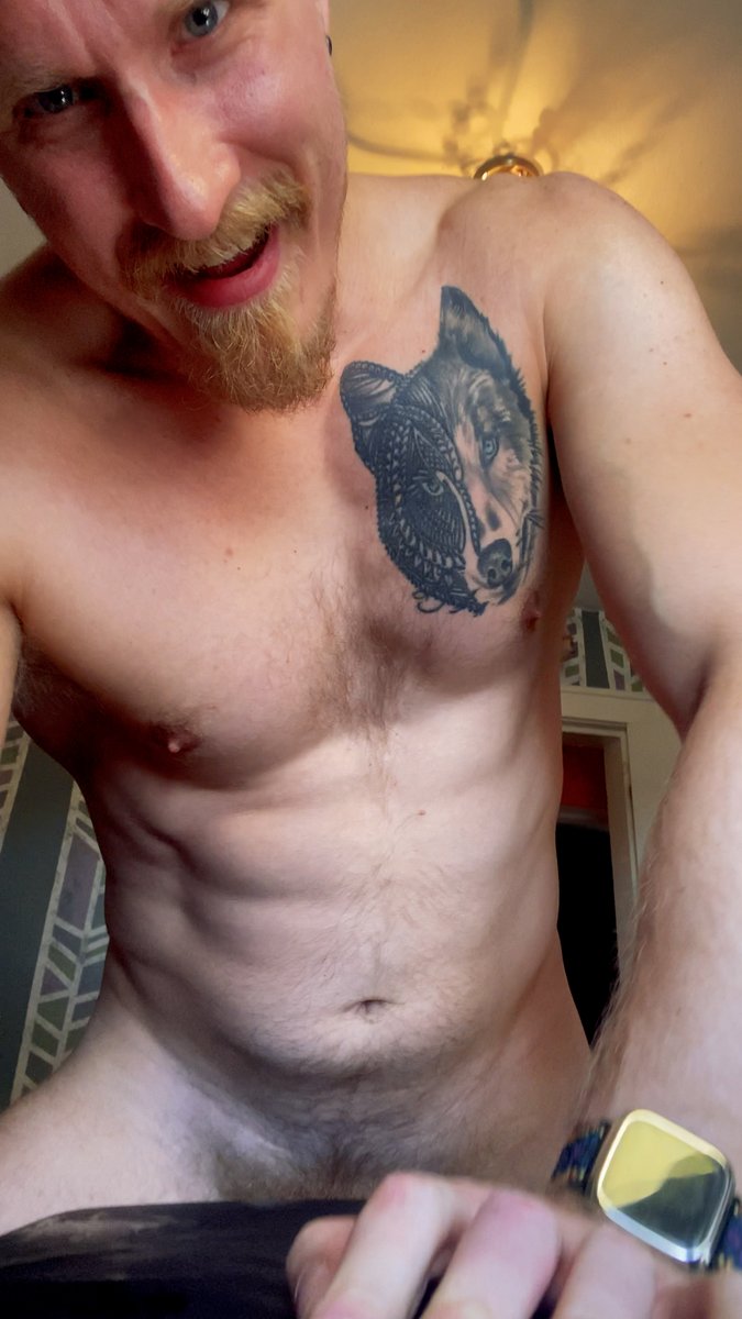 chris wolfe tweet media