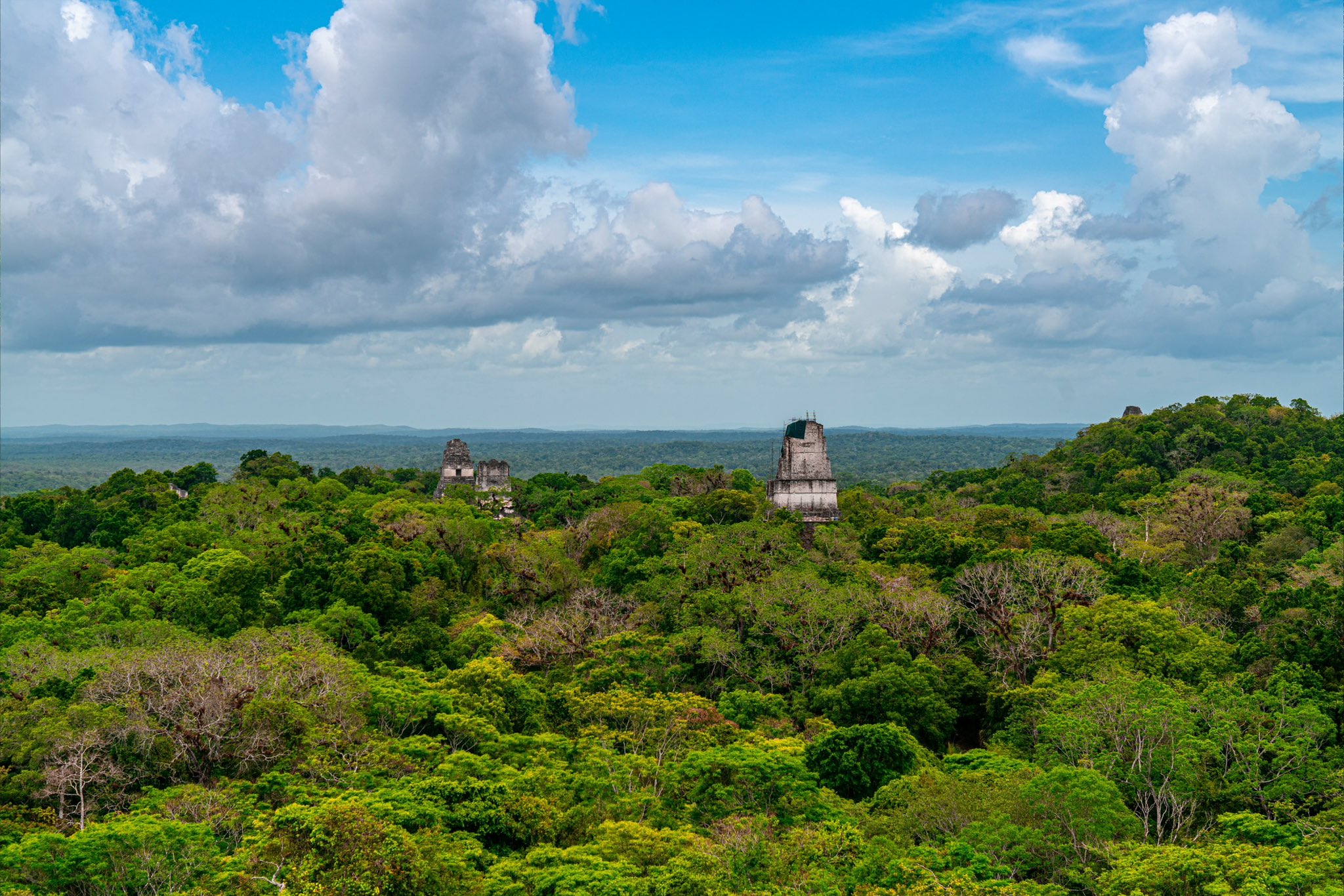 Tikal