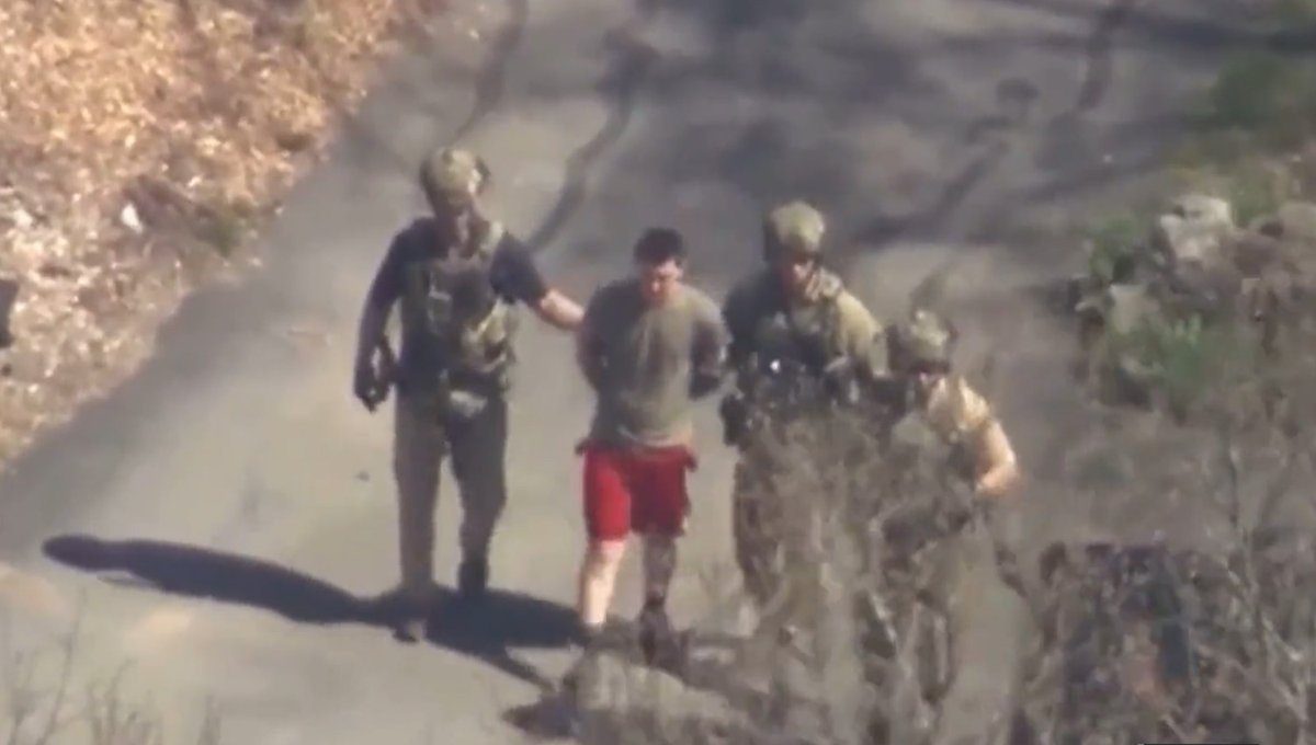 The Babylon Bee tweet media