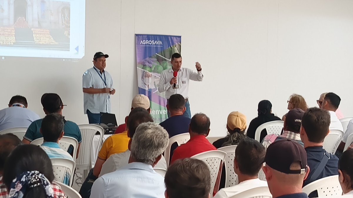 layton_06's tweet photo. Avances convenio @fedecacao @SomosAGROSAVIA Embajada de Portugal.
Unidad Técnica de Cúcuta 
#Ocaña https://t.co/4ofPUENuKA