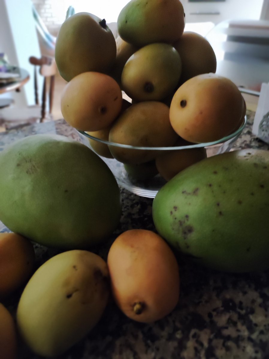 teomairis's tweet photo. Cuando uno de los vecinos finqueros comparte la cosecha 😋😋😋 https://t.co/L9EoFsy67b