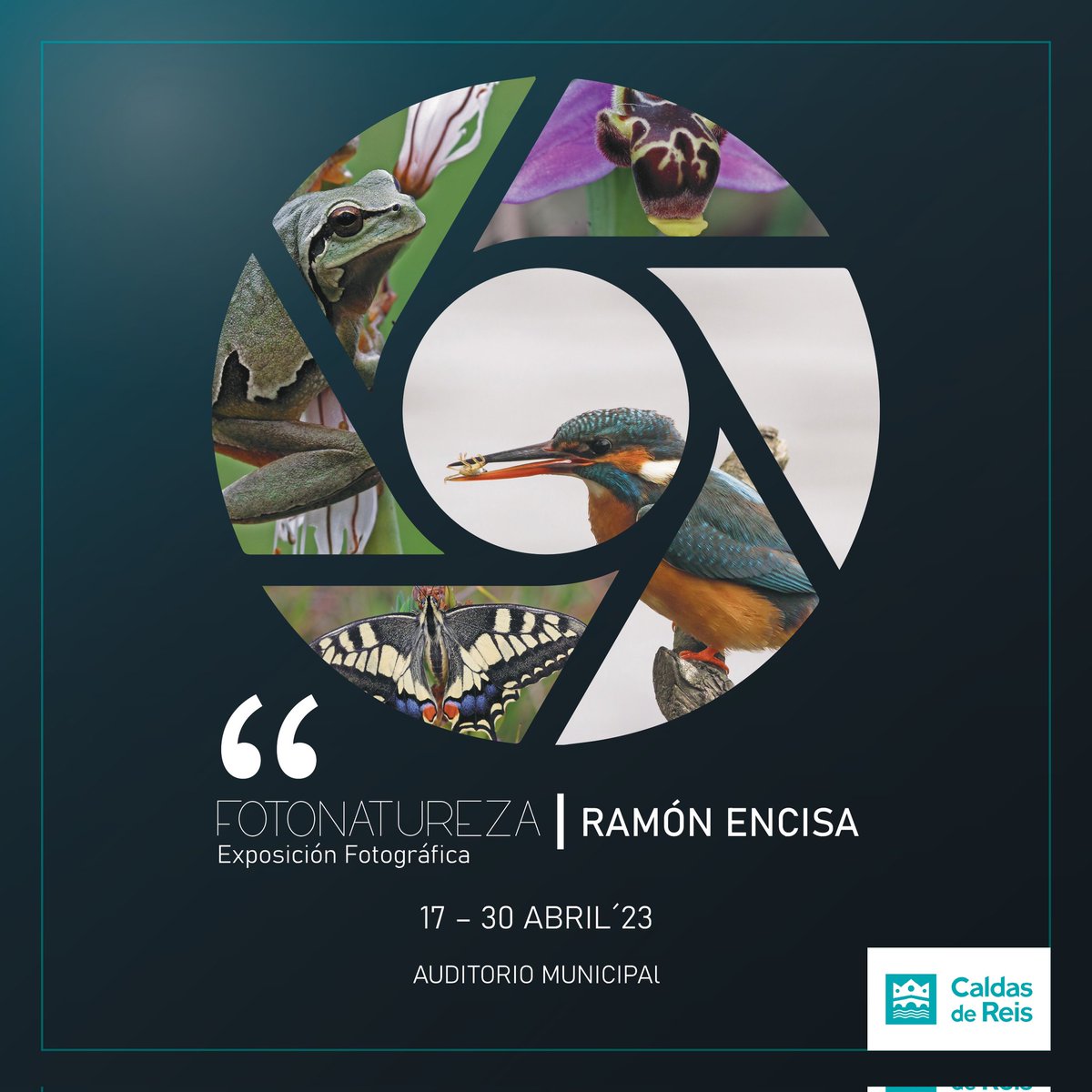 Exposición de fotografía de #RamonEncisa en #CaldasdeReis 
Auditorio Municipal do 17 ao 30 de abril 🐦🐸🦋