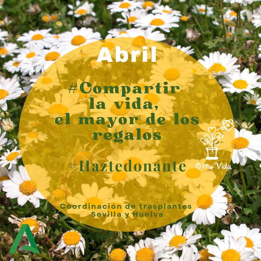 <a href="/StarzlT/">Starzl Network in Pediatric Transplantation</a> #DonateLife #Donatelifemonth #April  is beautiful month in  #Seville #AndaluciaDonatesLife #BlueWeekspiritweek <a href="/ONT_esp/">Organización Nacional de Trasplantes</a> <a href="/A_Trasplantes/">Coordinación Autonómica Trasplantes Andalucia</a> <a href="/UronefroHUVR/">@Uro-NefroHUVR</a> <a href="/SaludConsumoSe/">Delegación de Salud y Consumo en Sevilla</a> <a href="/ucihuvr/">UCIHUVR</a> <a href="/UCIPedHUVR/">UCI Pediatría HospitalUvRocío</a> <a href="/pediatriaHUVR/">Pediatría y Áreas Específicas HUVR</a> <a href="/HumanizAndal/">HumanizAndalucía</a> <a href="/HospitalUVRocio/">Hospital Universitario Virgen del Rocío</a>