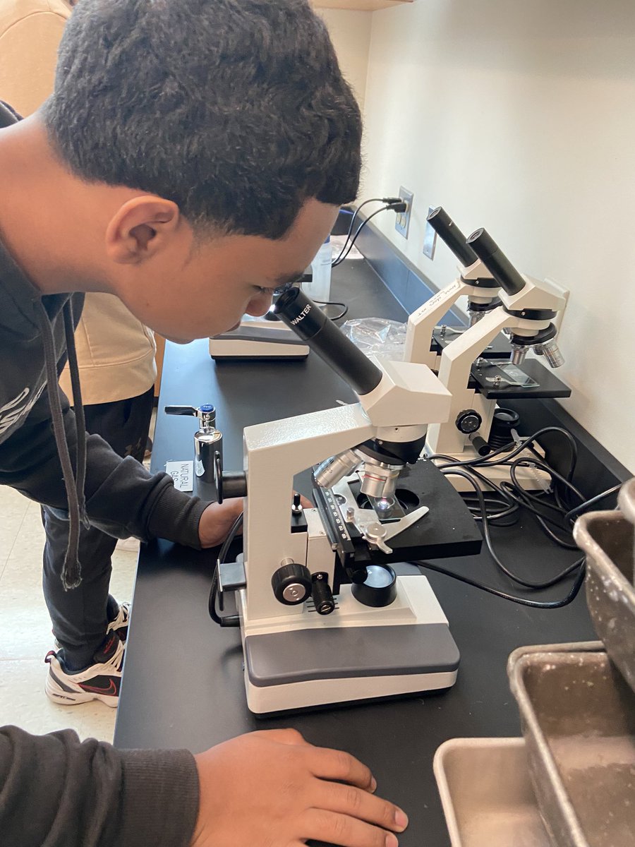 Ms_Calasso's tweet photo. Under the Microscope🔬

#Biology students used what they know about cell structure/function to guess each of our mystery cells!👀

@BectonHS #BectonScience https://t.co/C9DyP2oB8K