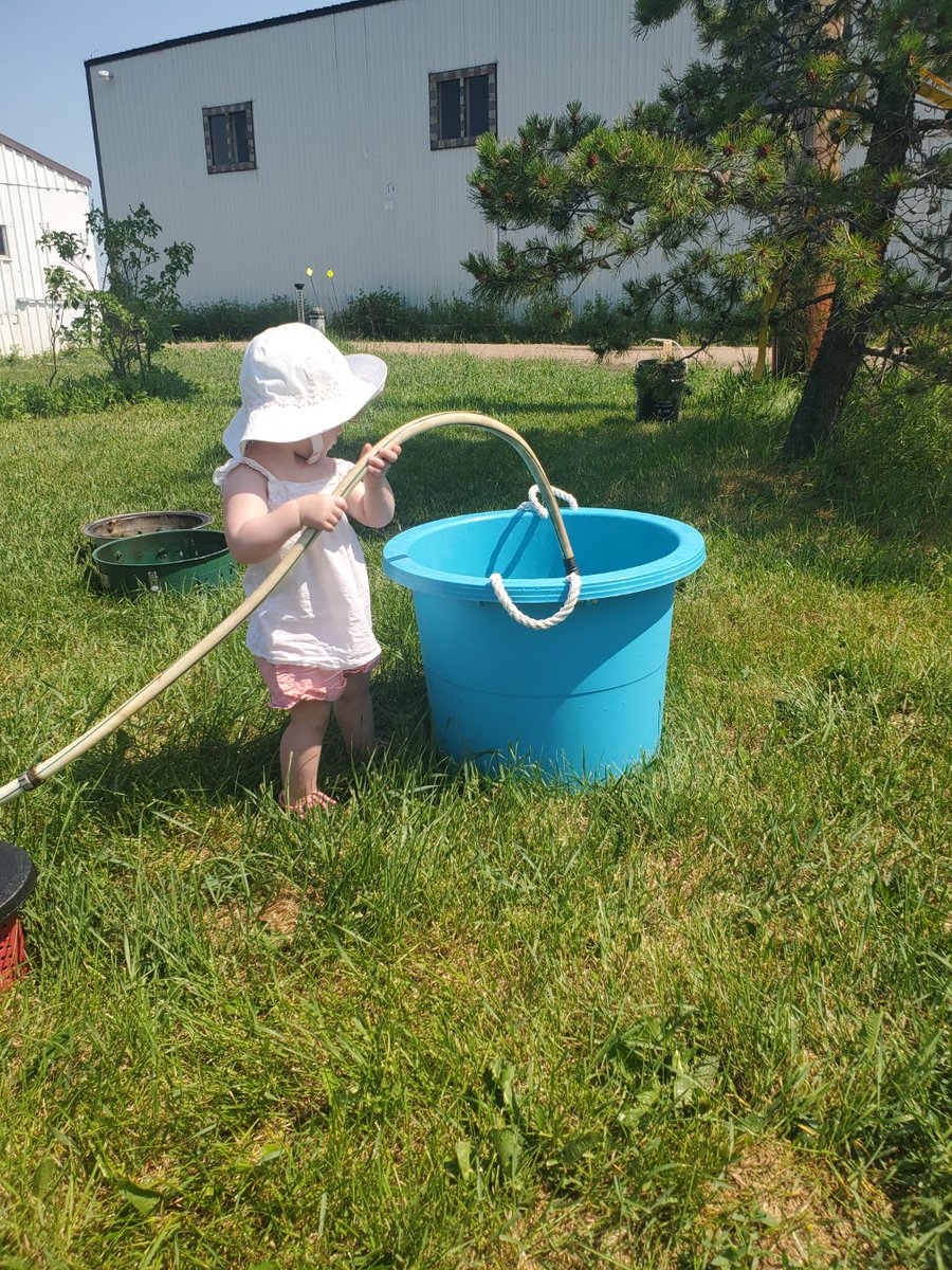 NorstrongServes's tweet photo. My newest employee!

She makes tons of mistakes and I have to re-do everything she does but there is lots of potential! And she is adorable https://t.co/dDfmmhGIa8