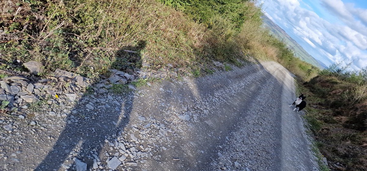 Ray O Brien tweet media