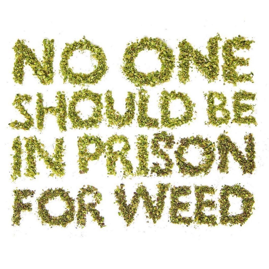 Legal Weed 4 SC 🍃 tweet media