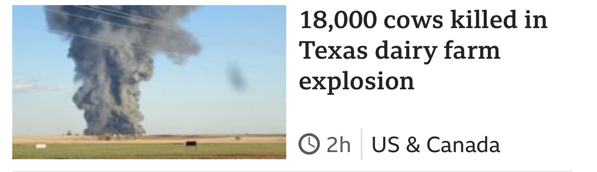 muttface's tweet image. I’m sorry what?